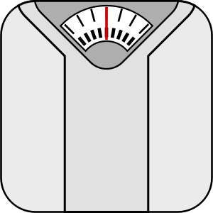 weight limit