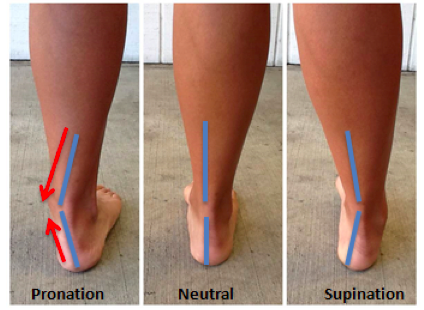 pronation in the step