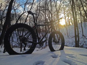 fat bike in the woods