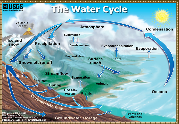 the water cycle